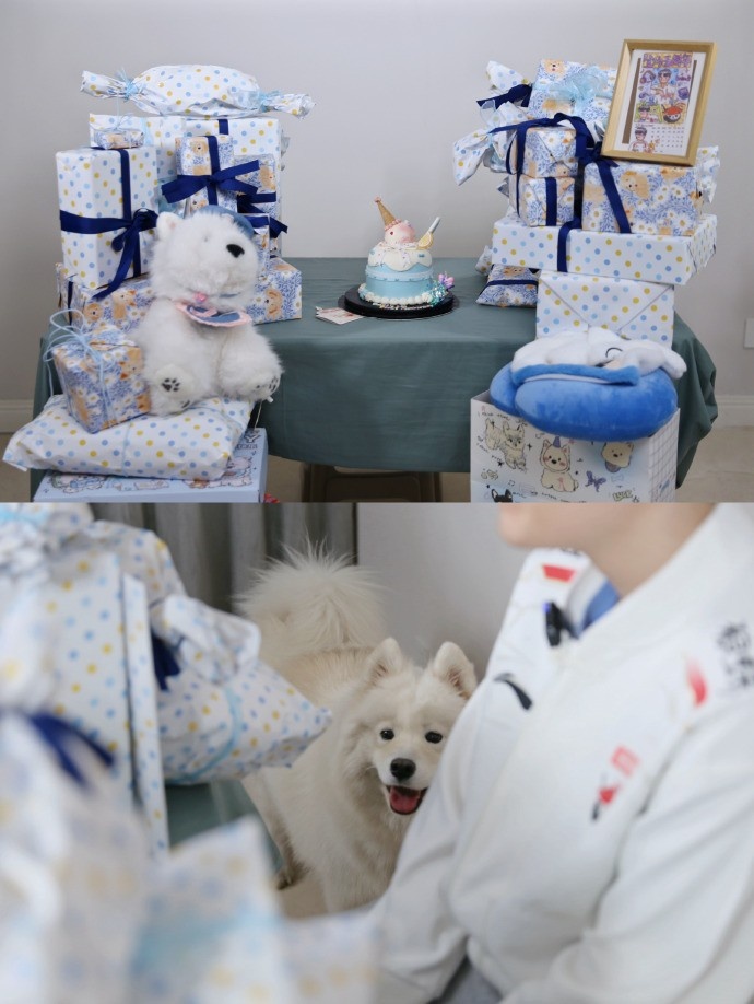 AL分享Kael五周年礼物开箱返图：大家为什莫给我这么多这个狗呀？